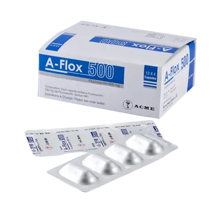 Capsule A Flox 500mg (48 Pcs)